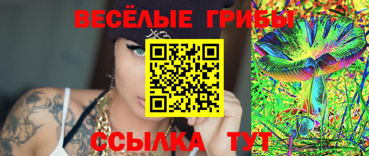 Псилоцибиновые грибы прущие грибы Шадринск